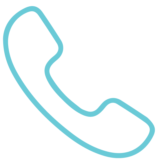 Icon for VOTE BY PHONE