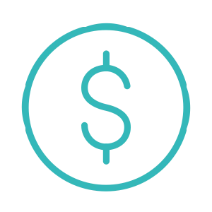 Money icon